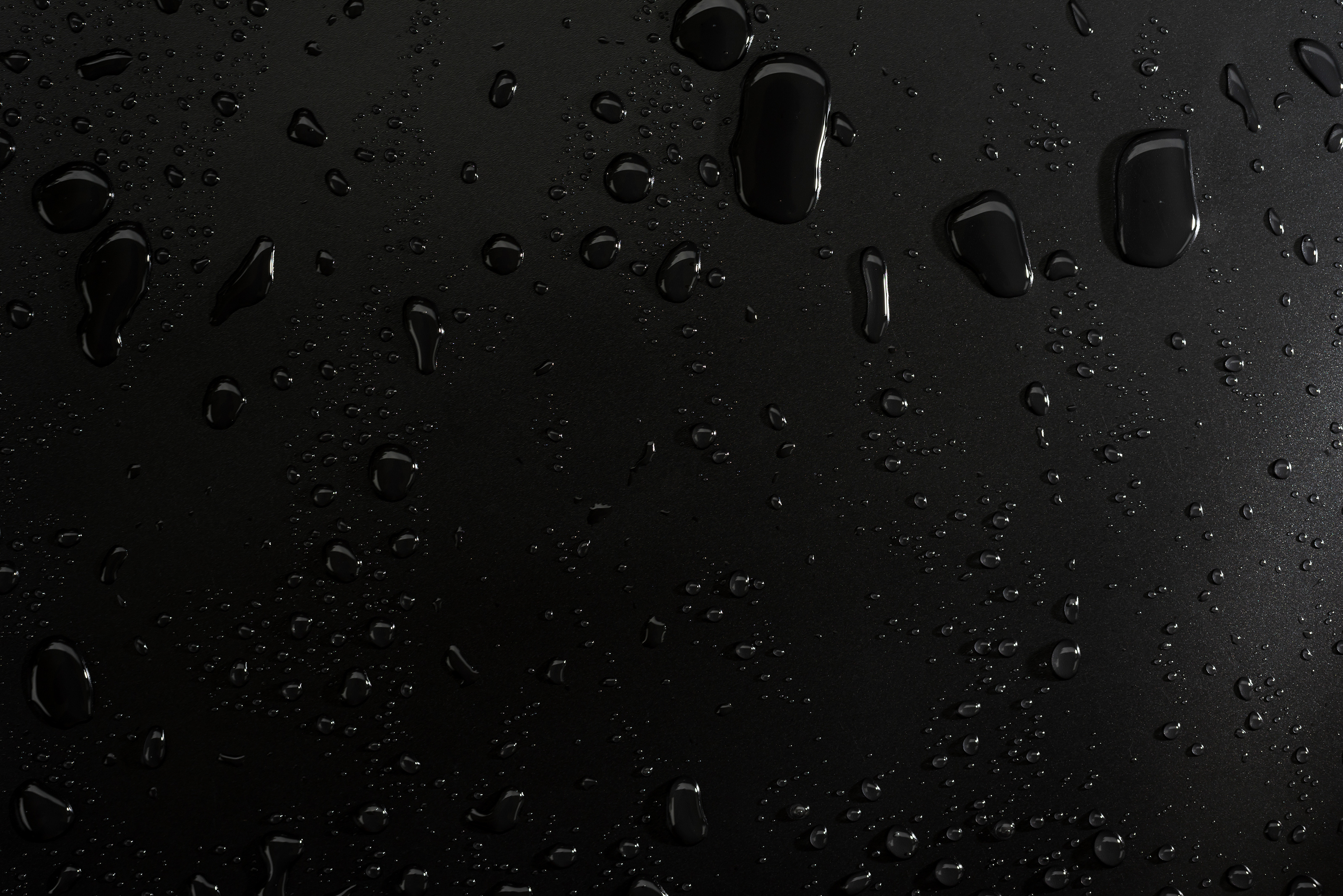 Water Drops on Black
